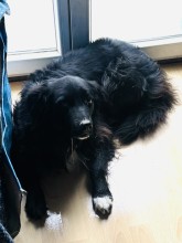 Nos prestations sur le secteur de à Haguenau (67) dans le Bas-Rhin