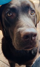 Nos prestations sur le secteur de près de Strasbourg (67) en Alsace