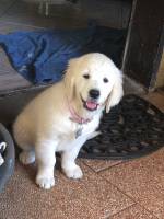 Nos prestations sur le secteur de près de Brumath dans le Bas-Rhin