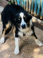 Nos prestations sur le secteur de près de Strasbourg (67) en Alsace